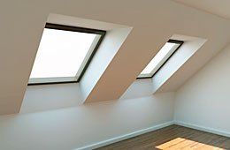 Two skylights window